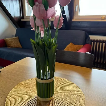 アパート Vucko Konaci